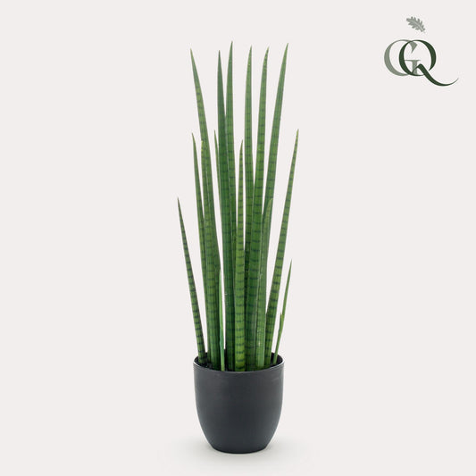 Kunstpflanze - Sansevieria Cylindrica - Frauenzunge - 70 cm