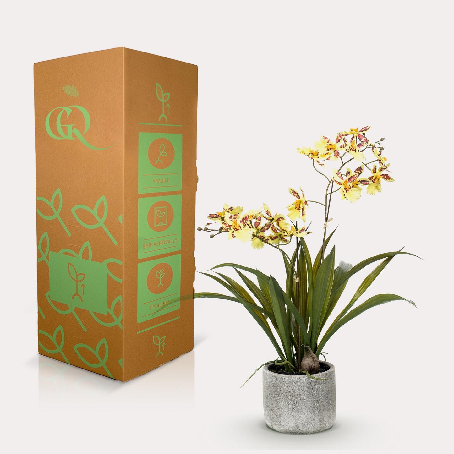 Kunstpflanze Orchidee – Gelb – 45 cm