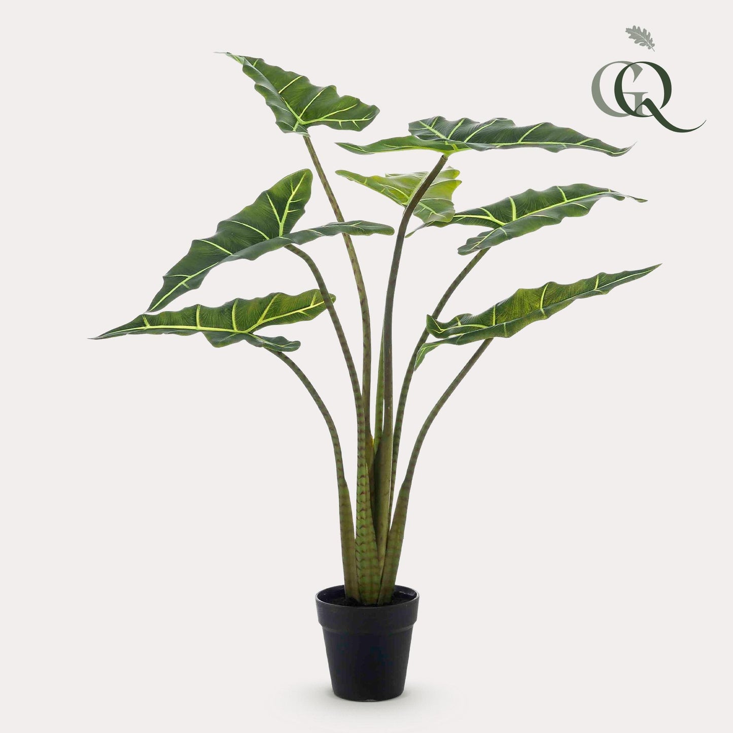 Kunstpflanze Alocasia Frydek - 90 cm Höhe - Stilvolle Kunstpflanze für elegante Innenräume