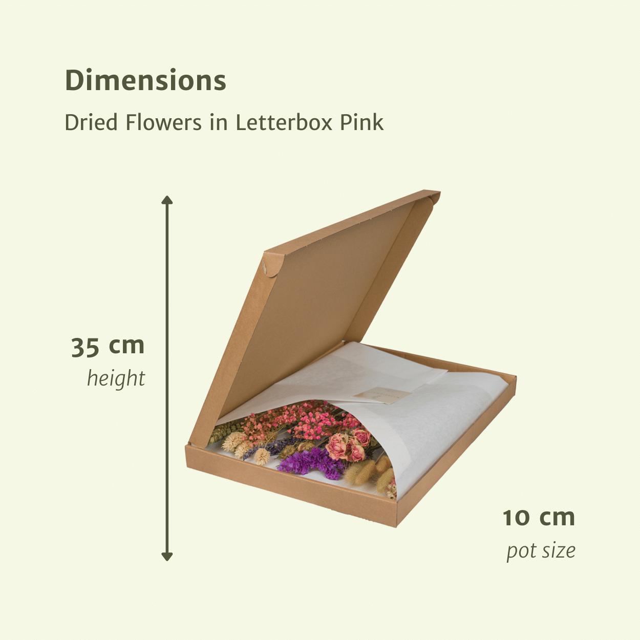 Trockenblumen in Letterbox - Pink