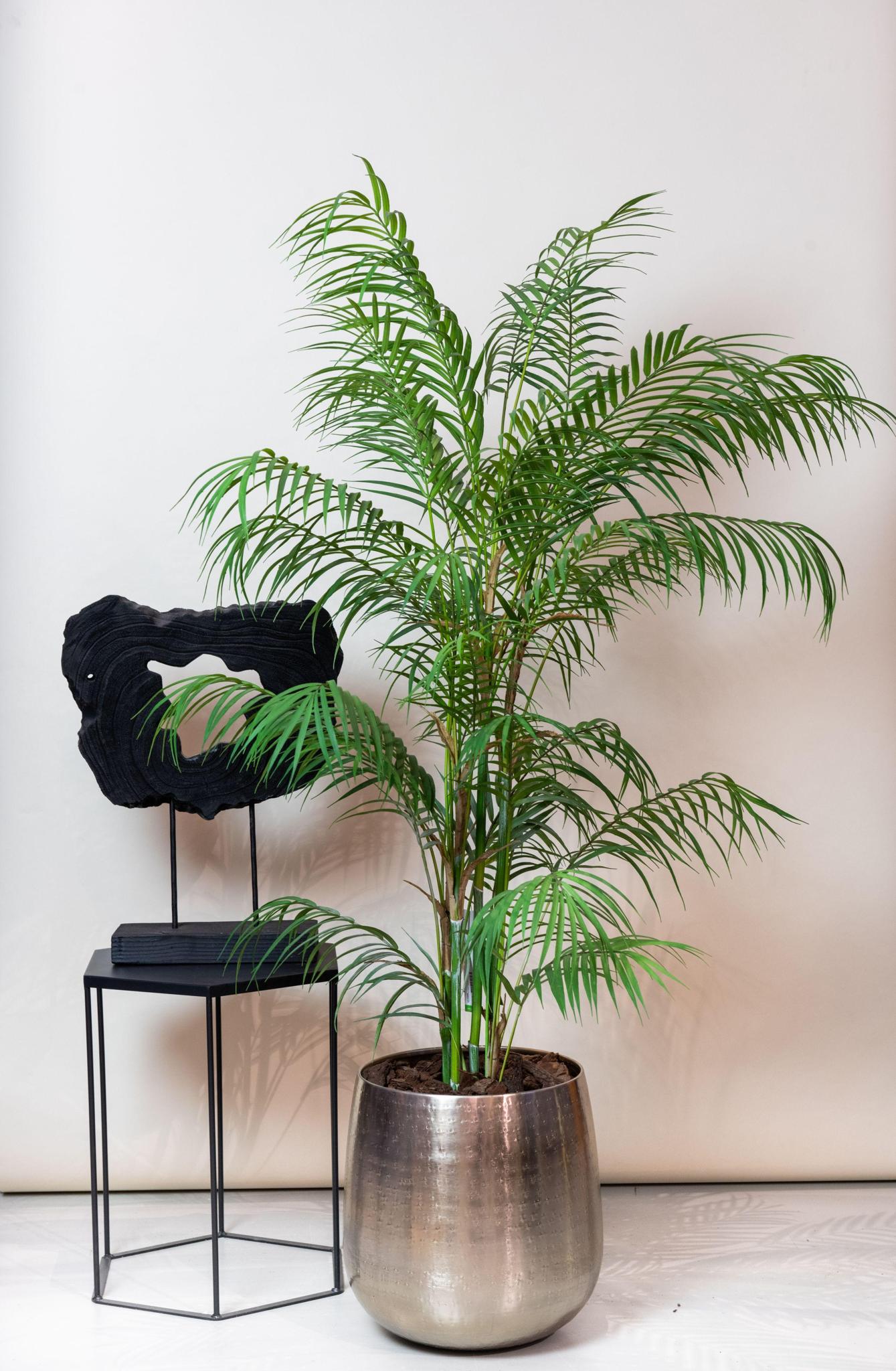 Kunstpflanze Chamaedorea Elegans - Mexikanische Bergpalme - 120 cm Höhe - Pflegeleichte Deko-Palme für Innenräume