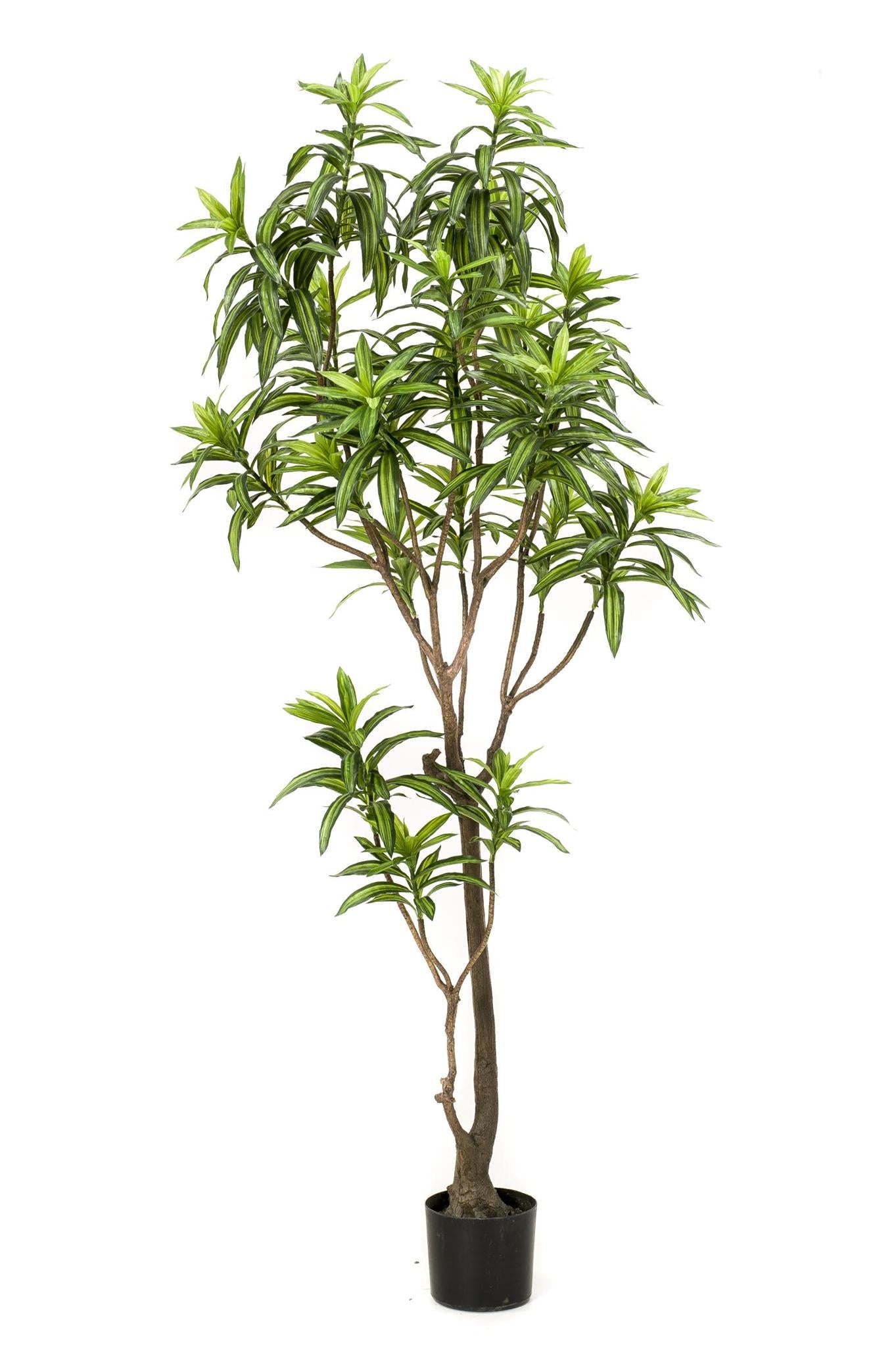 Kunstpflanze Dracaena - Drachenbaum - 190 cm Höhe - Pflegeleichte Kunstpflanze für große Innenräume