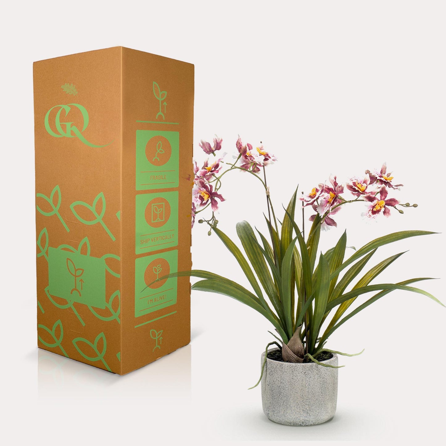 Kunstpflanze Orchidee – Bordeaux – 45 cm