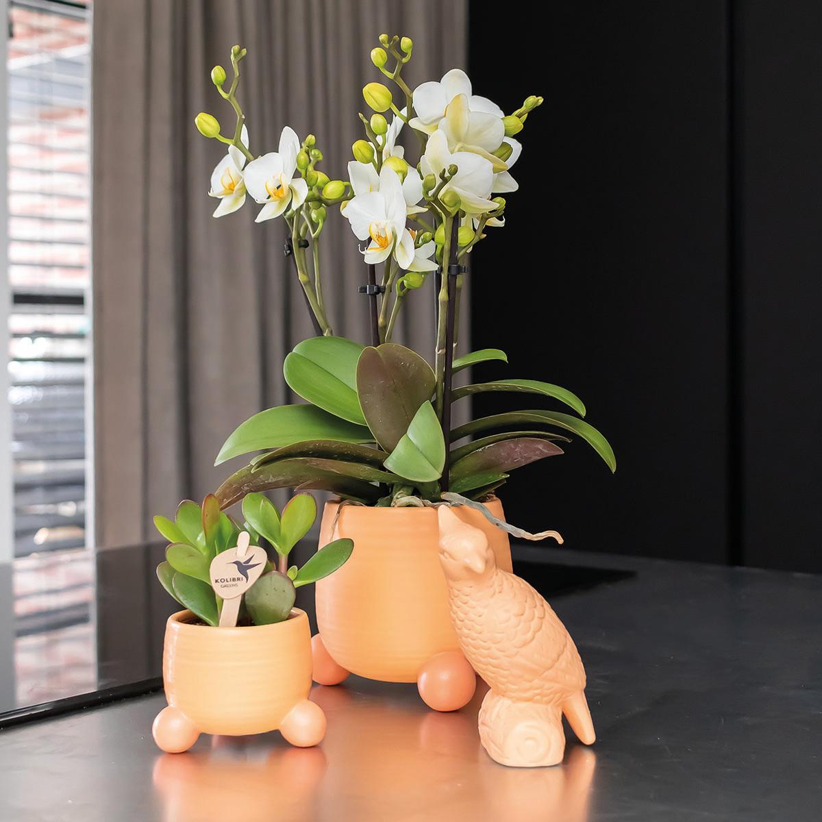 Kolibri Home | Rolling peach flowerpot - Pfirsichfarbener Keramiktopf - Ø9cm