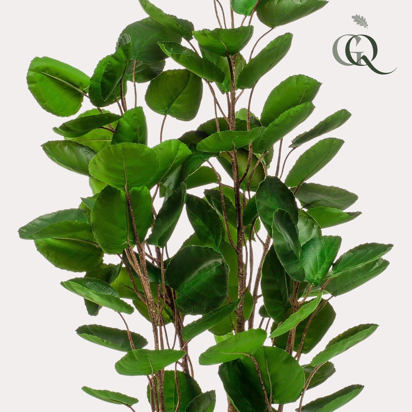 Kunstpflanze - Polyscias - Aralia - 105 cm