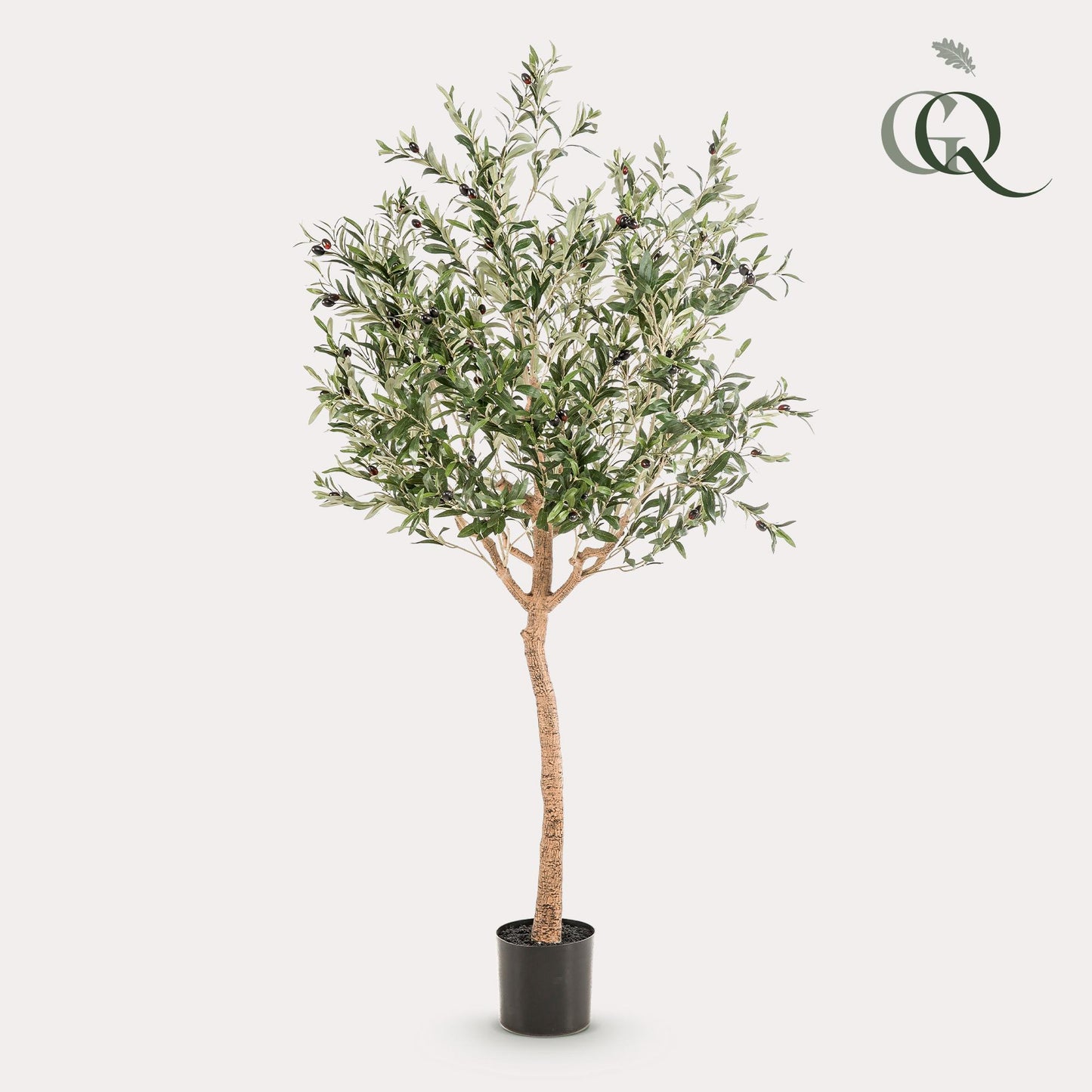 Kunstpflanze Olea europaea (Olivenbaum) - 180 cm Höhe - Eleganter Kunst-Olivenbaum für stilvolle Innenräume