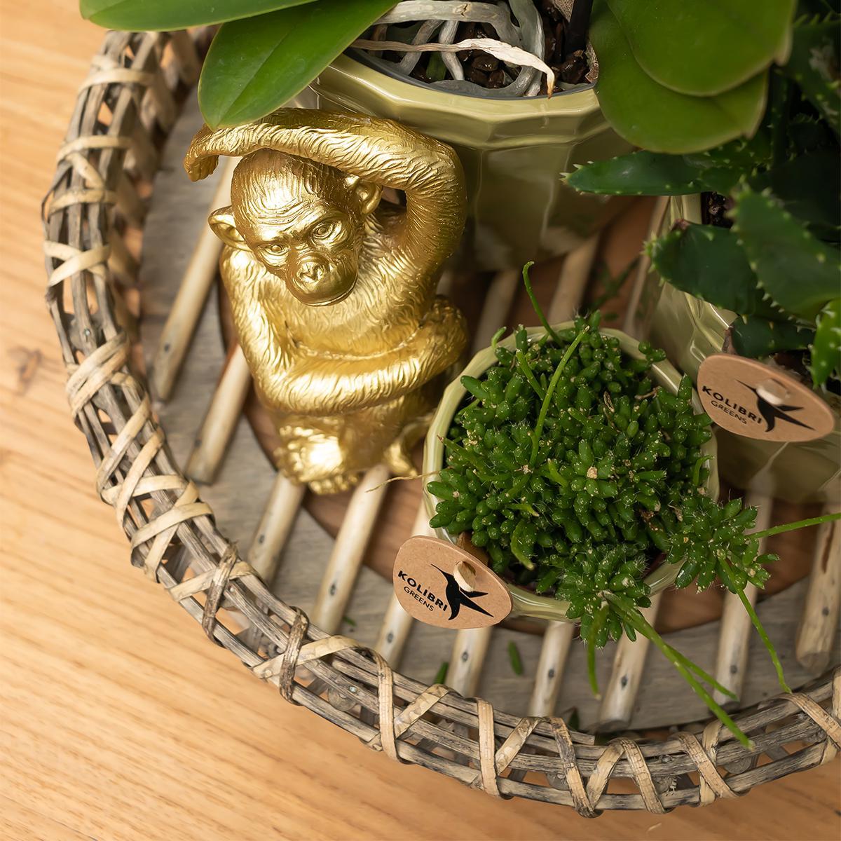 Kolibri Home | Ornament - Dekoration Skulptur Sitzender Affe - Gold