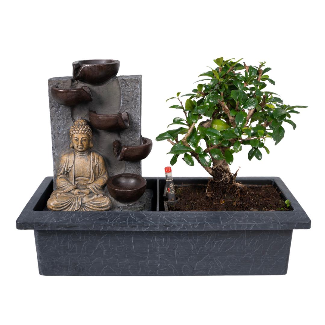 Bonsai Wasserbrunnen (Buddha)- Ø15cm - ↕30cm