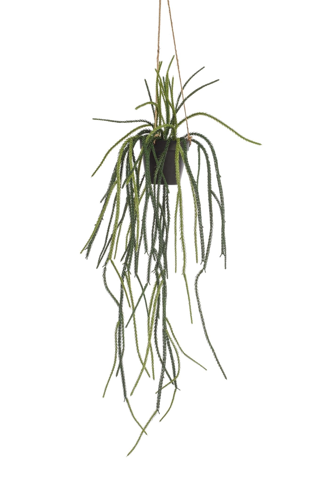 Kunstpflanze - Rhipsalis - Korallenkaktus - 85 cm