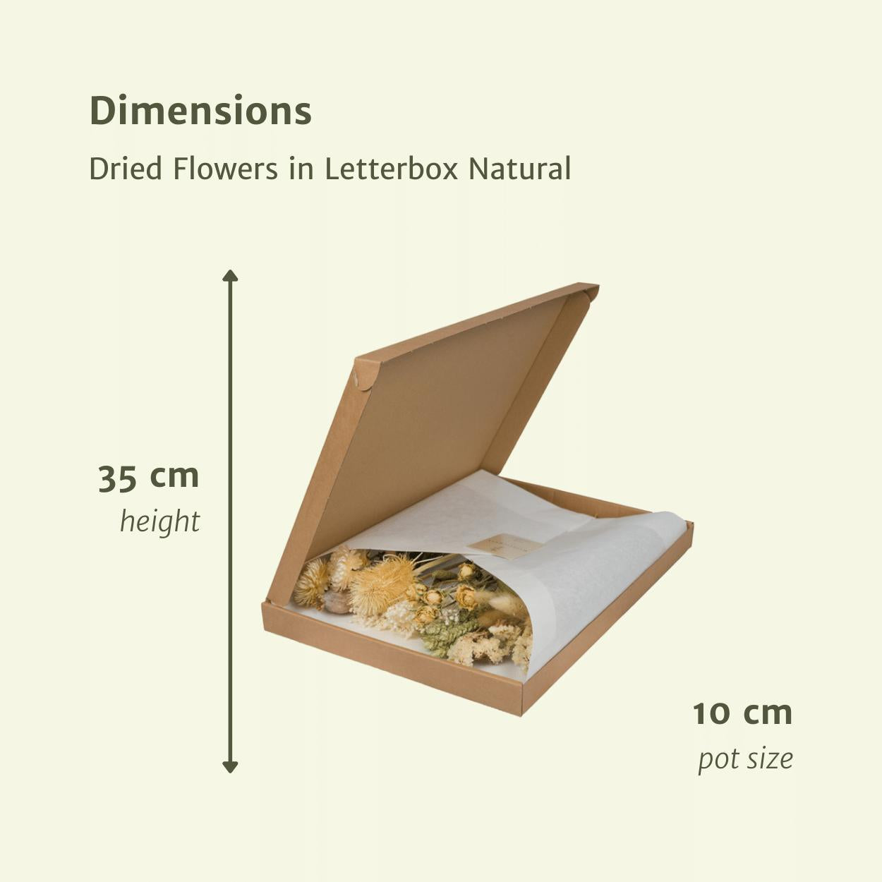 Trockenblumen in Letterbox - Natural