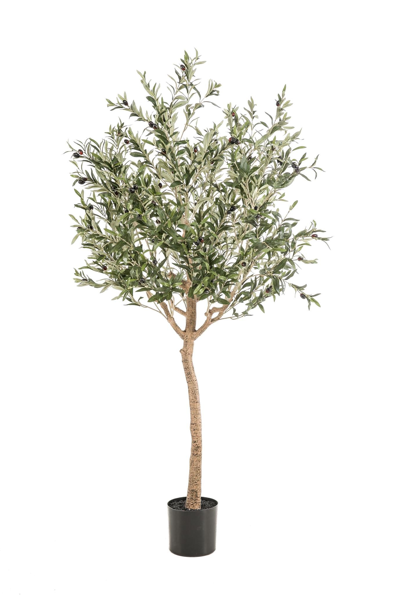 Kunstpflanze Olea europaea (Olivenbaum) - 180 cm Höhe - Eleganter Kunst-Olivenbaum für stilvolle Innenräume