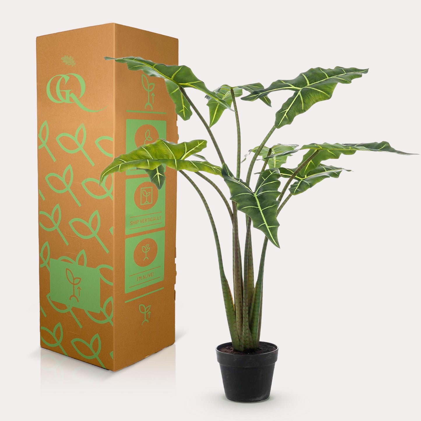 Kunstpflanze Alocasia Frydek - 100 cm Höhe - Exotische Kunstpflanze für moderne Innenräume