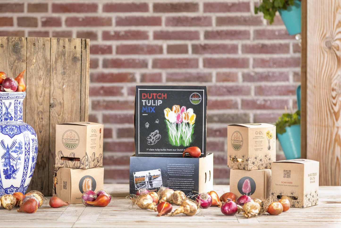 Flowerbulbs Amsterdam Dutch Tulip Mix - Luxusbox mittel, 40 Premium Tulpenzwiebeln, Größe 12+