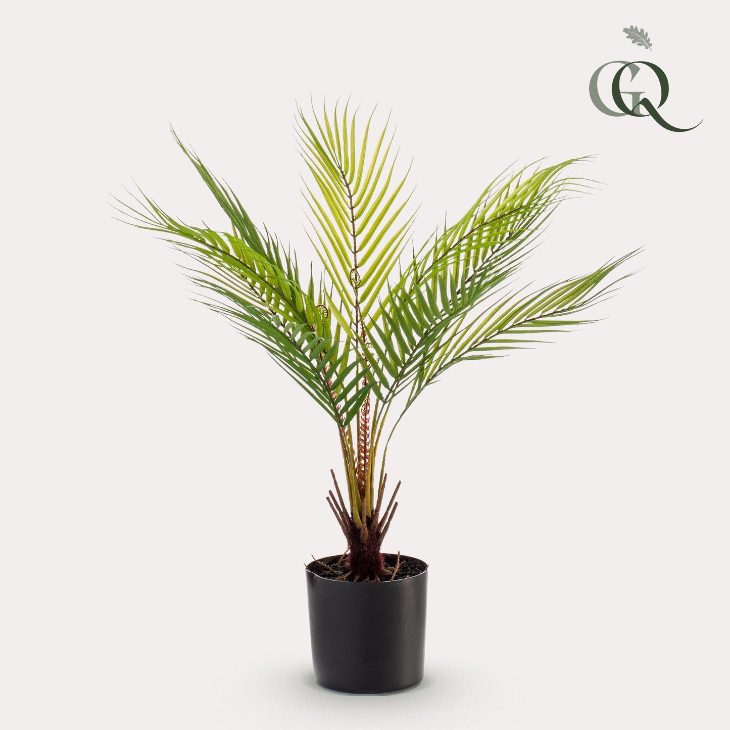 Kunstpflanze Chamaedorea Elegans - Bergpalme - 50 cm Höhe - Kleine Deko-Palme für Innenräume