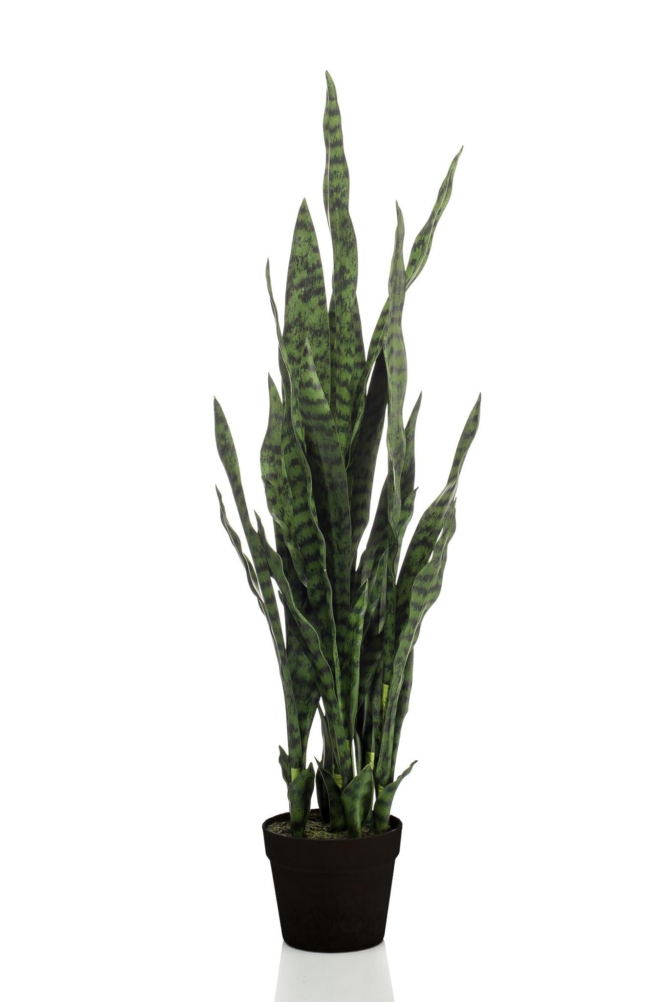 Kunstpflanze Sansevieria Black Coral – Frauenzunge – 97 cm