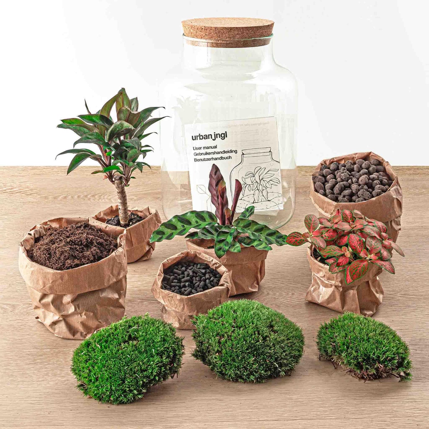 Terrarium - Milky Palm - ↕ 30 cm