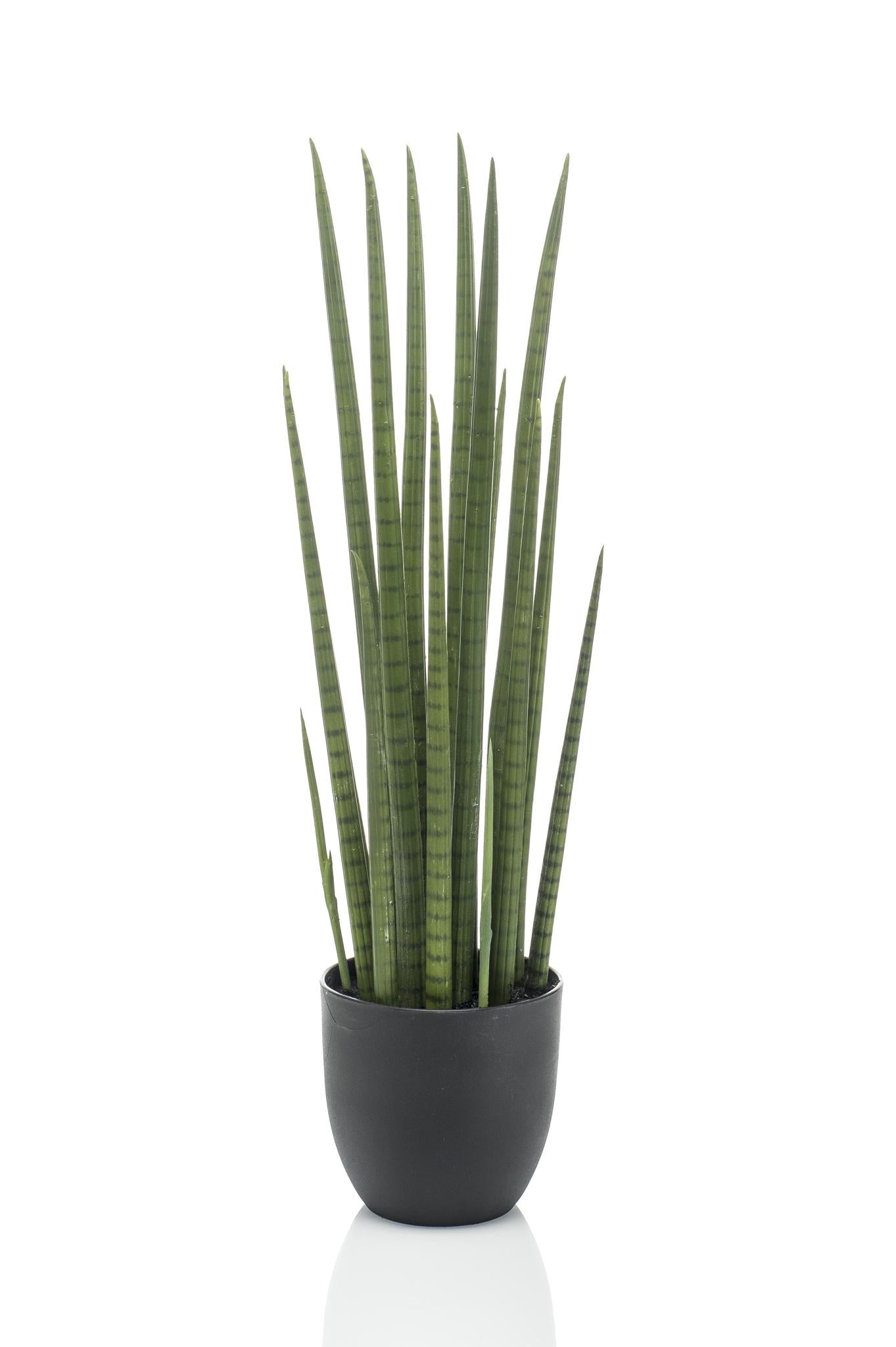 Kunstpflanze - Sansevieria Cylindrica - Frauenzunge - 70 cm