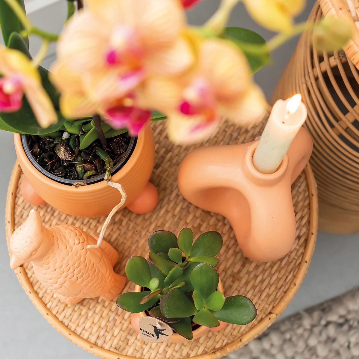 Kolibri Home | Rolling peach flowerpot - Pfirsichfarbener Keramiktopf - Ø9cm