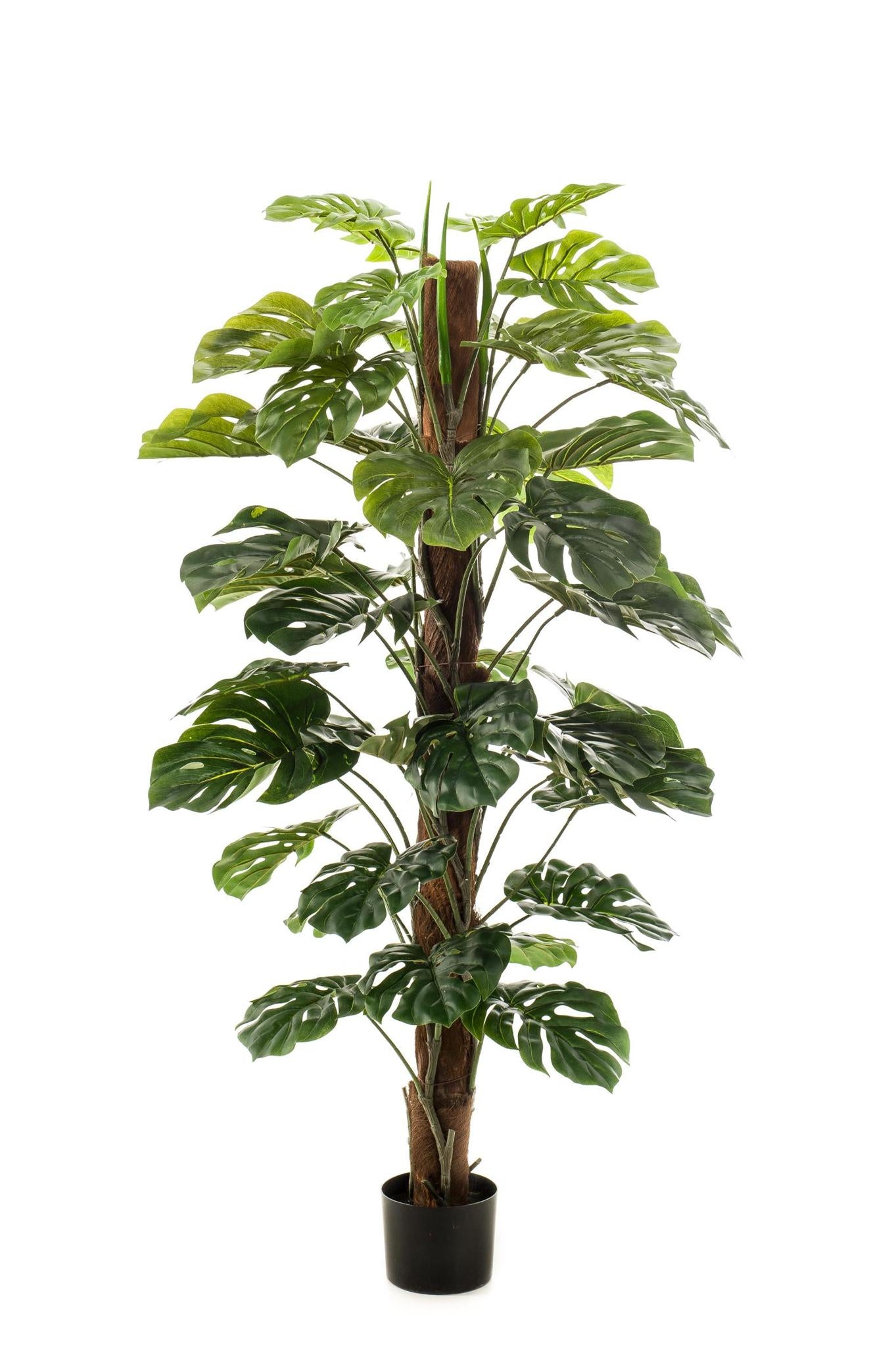 Kunstpflanze - Monstera Deliciosa - Löcherpflanze - 150 cm