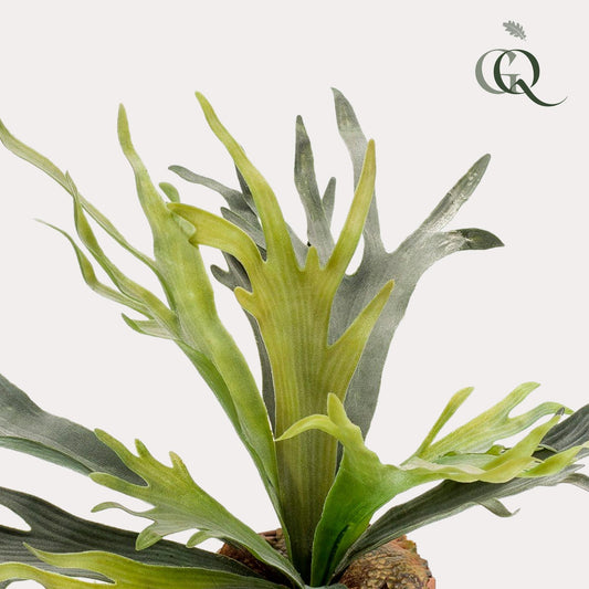 Kunstpflanze - Staghorn Farn - Geweihfarn - 50 cm