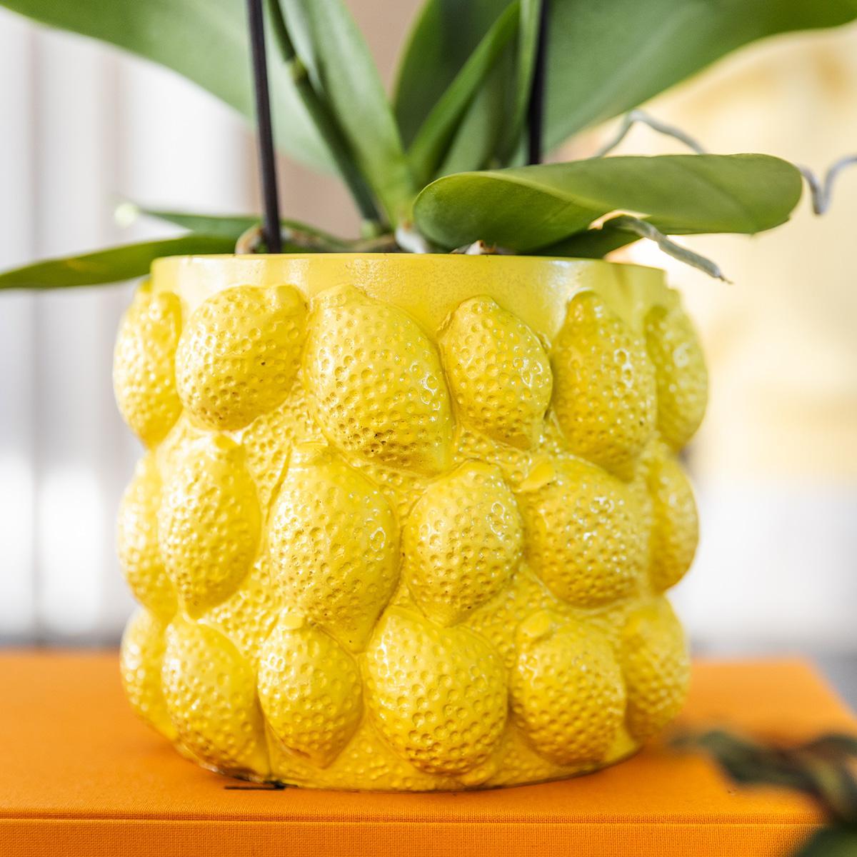 Kolibri Home | Citrus pot yellow - Ø9cm