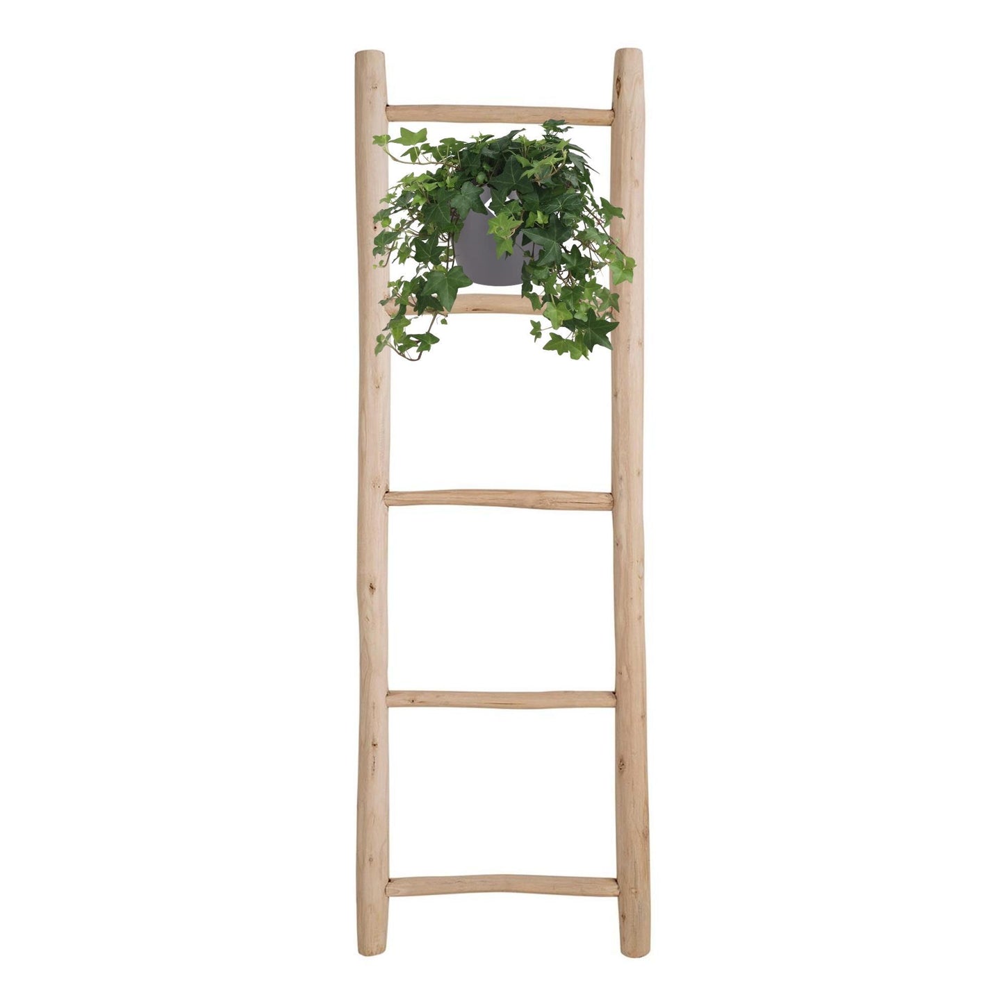 Hedera Helix Groen - Hangpot Wit / Basic - Ø17cm - ↕cm