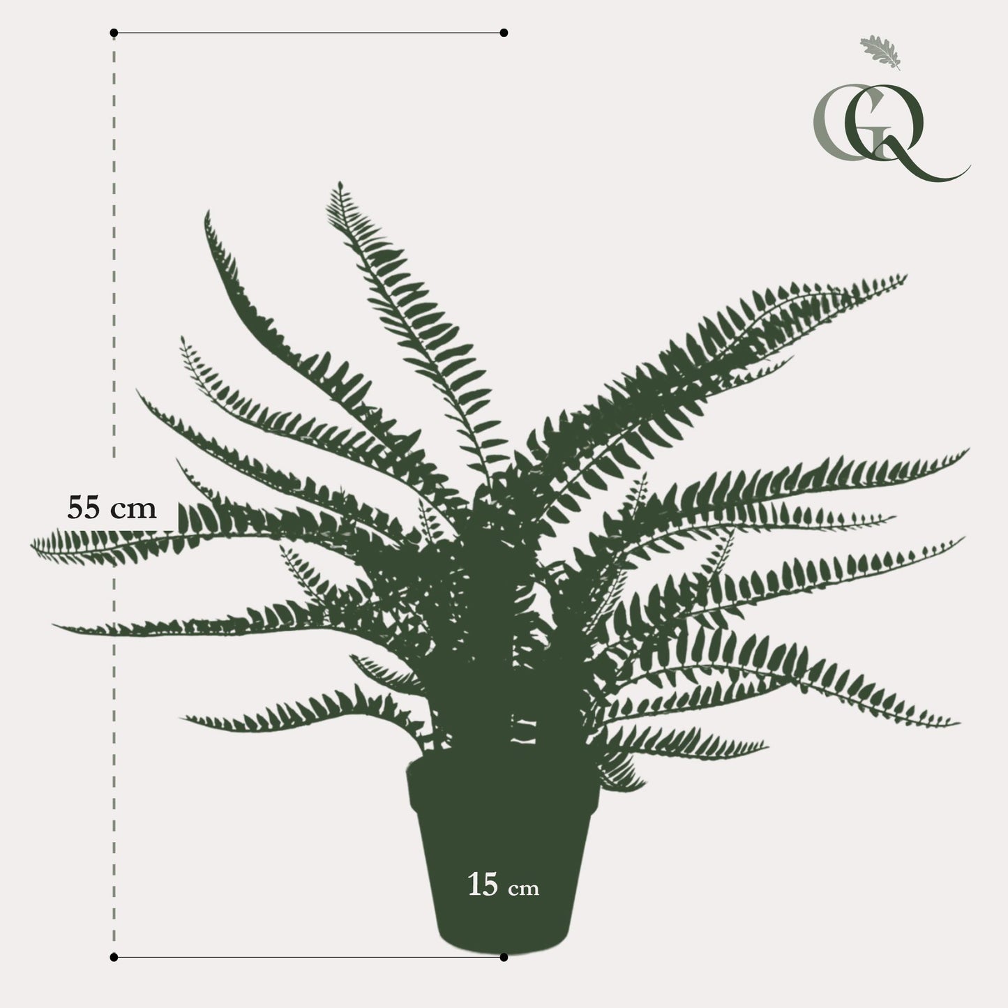 Kunstpflanze Nephrolepis Exaltata (Boston Farn) - 55 cm Höhe - Pflegeleichter Kunstfarn für stilvolle Innenräume