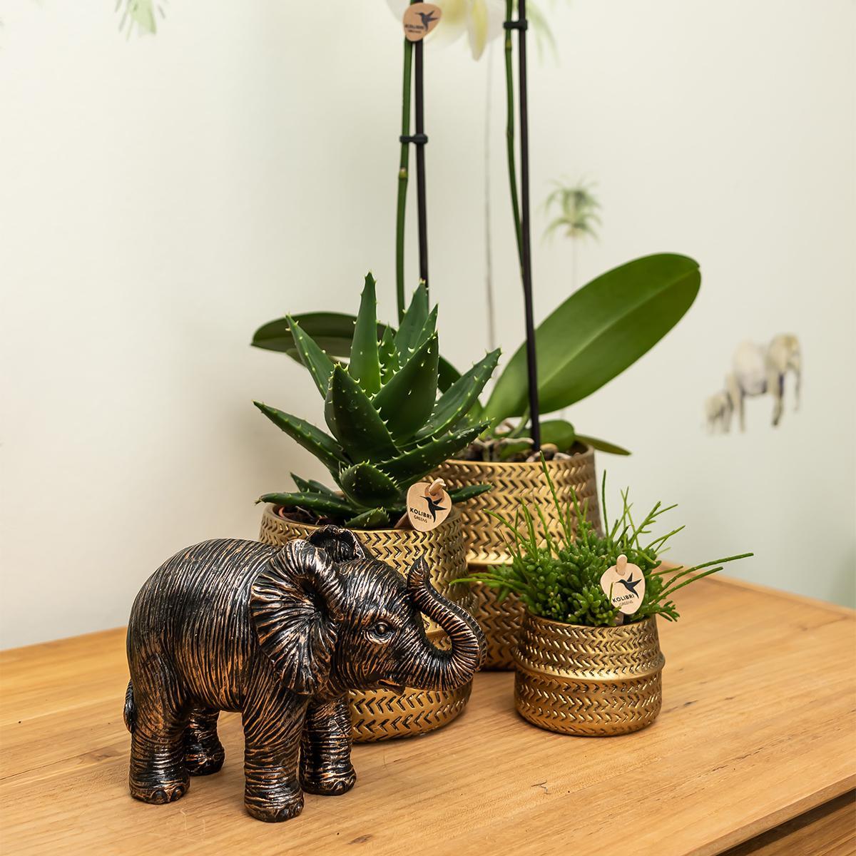 Kolibri Home | Ornament - Deko Skulptur Elefant - Schwarz