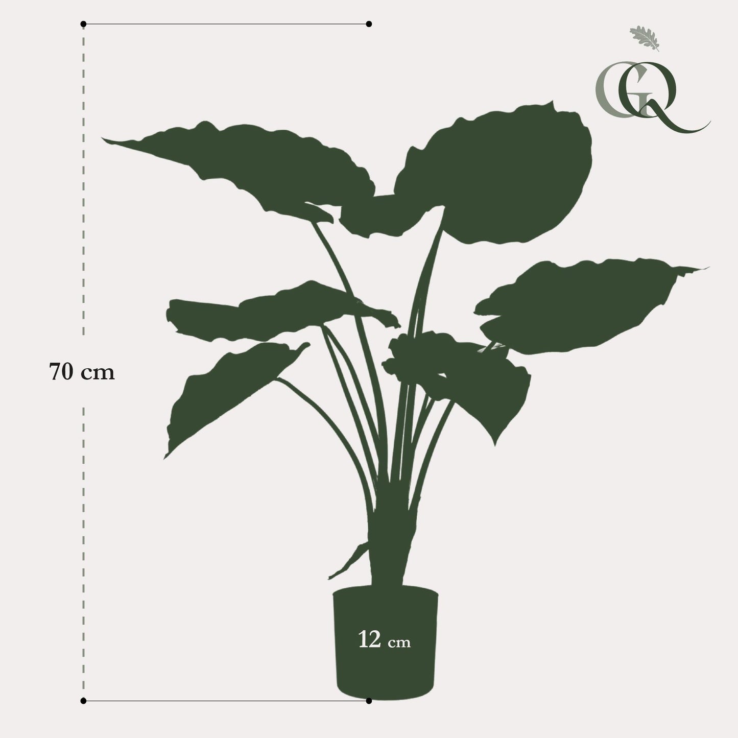 Kunstpflanze Alocasia - 70 cm Höhe - Kompakte Kunstpflanze für stilvolle Innenräume