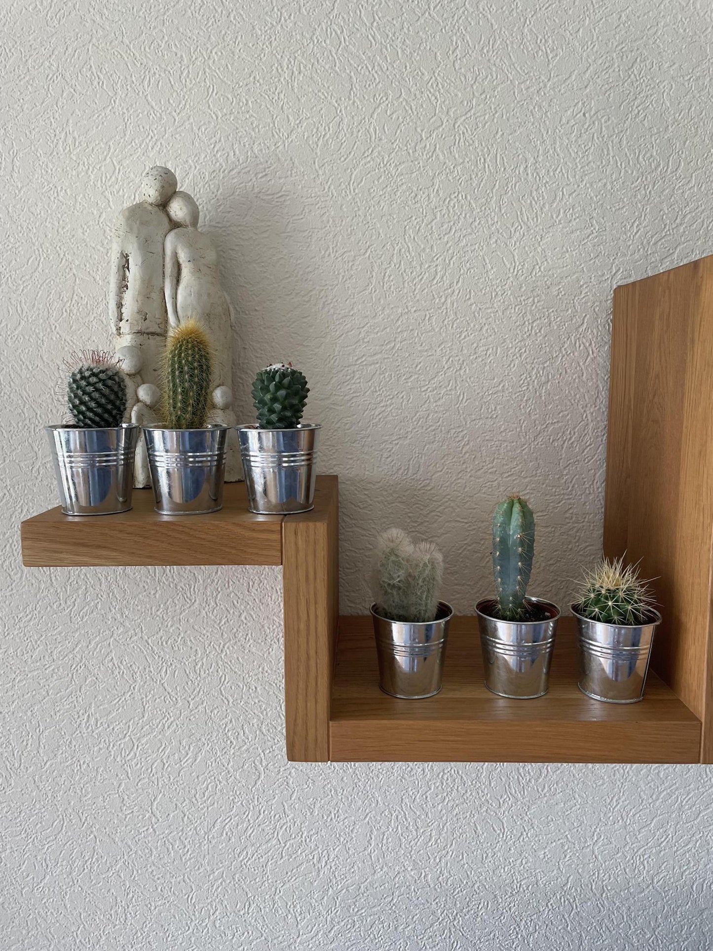 Cactus Mix - 6.5cmØ - 8-15cm hoog- (6 Stuks) - Zinc - Ø7.5 cm