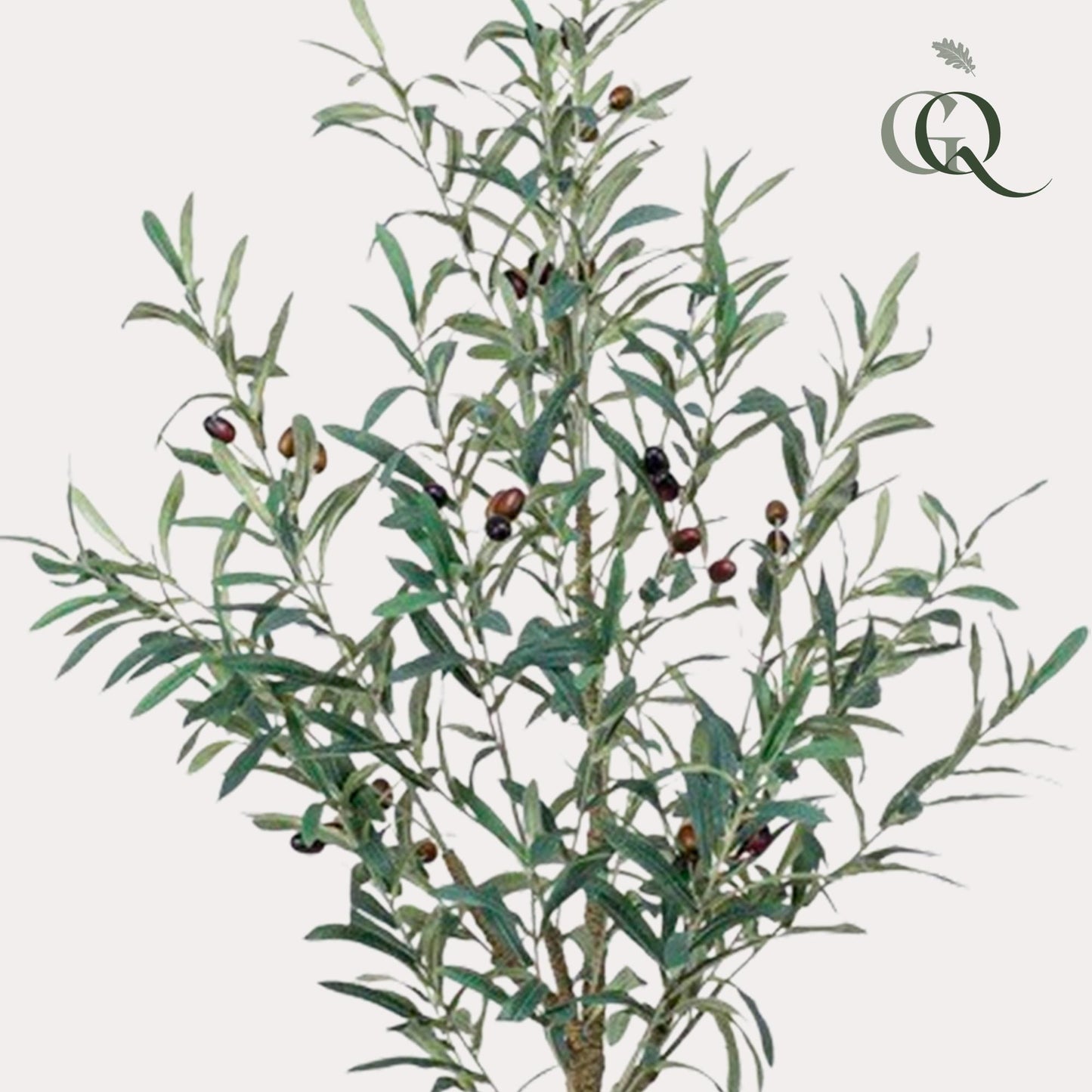 Kunstpflanze Olea europaea (Olivenbaum) - 115 cm Höhe - Pflegeleichter Kunst-Olivenbaum für elegante Innenräume