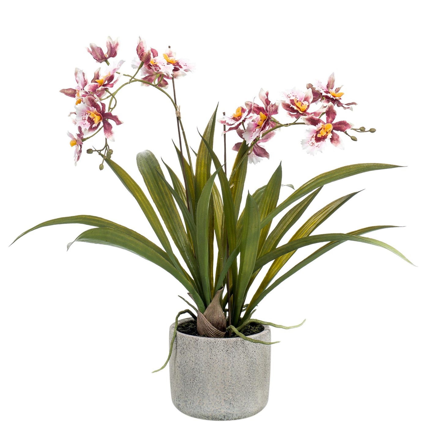 Kunstpflanze Orchidee – Bordeaux – 45 cm