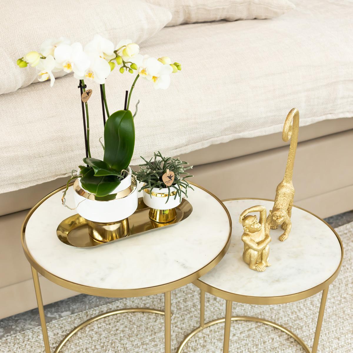 Kolibri Home | Le Chic Blumentopf - Weißer dekorativer Keramiktopf mit goldenen Details - Ø9cm