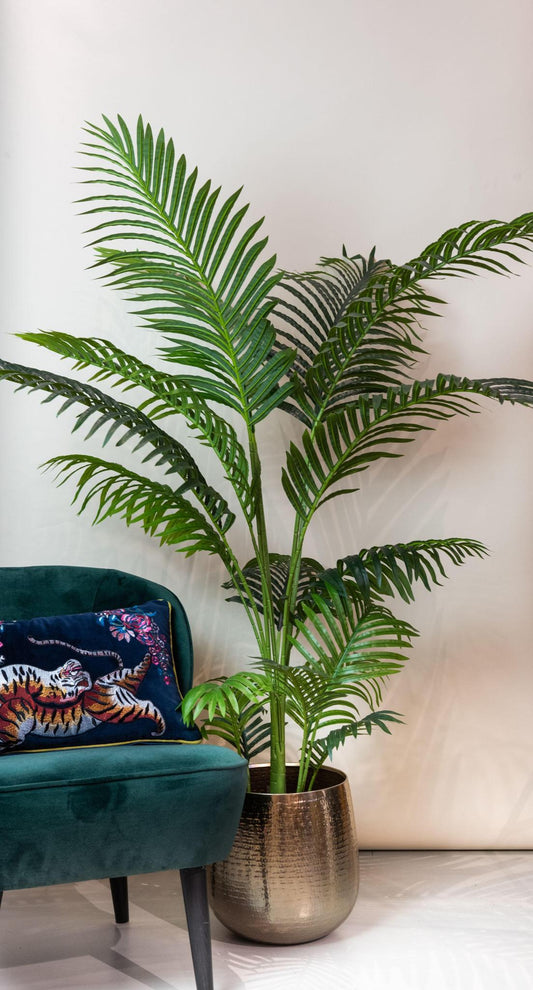 Kunstpflanze Howea Forsteriana - Kentia Palme - 160 cm Höhe - Realistische Deko-Palme für Wohnräume