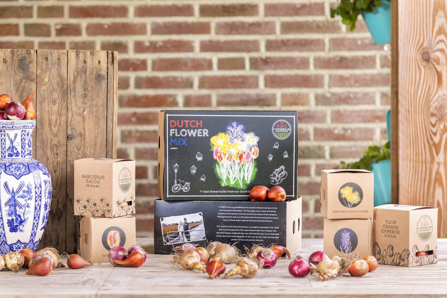 Flowerbulbs Amsterdam Dutch Flower Mix - Luxusbox groß, 75 Premium Blumenzwiebeln, Größe 12+