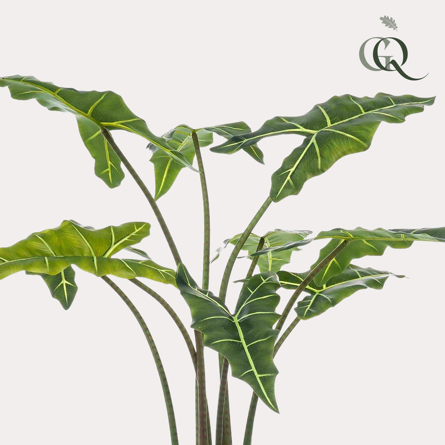 Kunstpflanze Alocasia Frydek - 100 cm Höhe - Exotische Kunstpflanze für moderne Innenräume